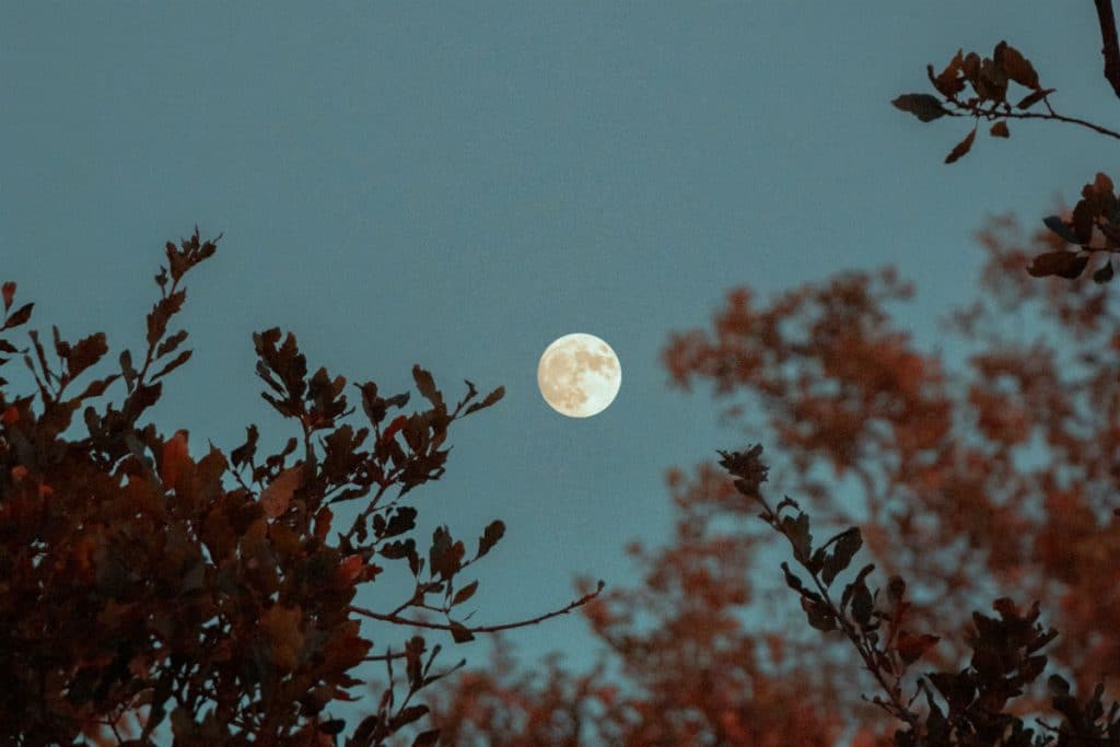 What to know about June's Strawberry full moon this weekend RUSSH