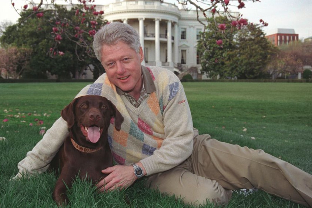 bill clinton dog