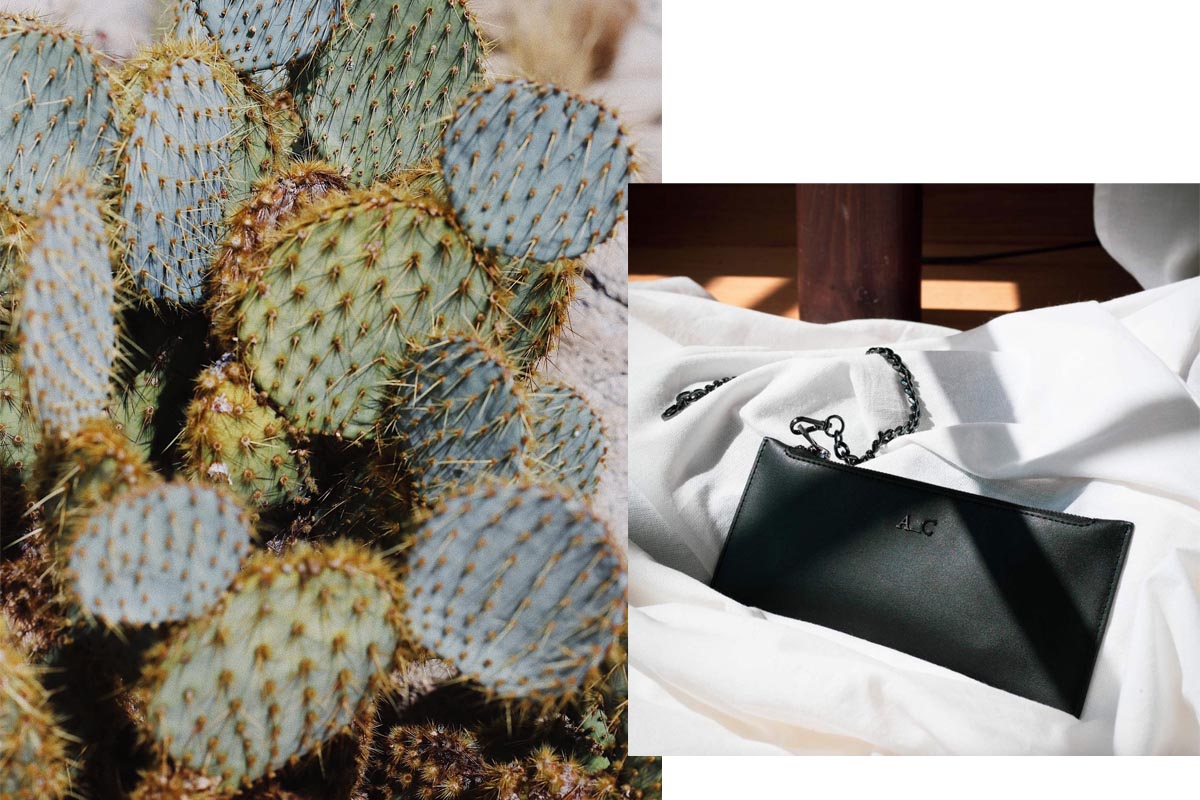 leather sustainable the leather: what (plastic-free) know alternative about to Cactus
