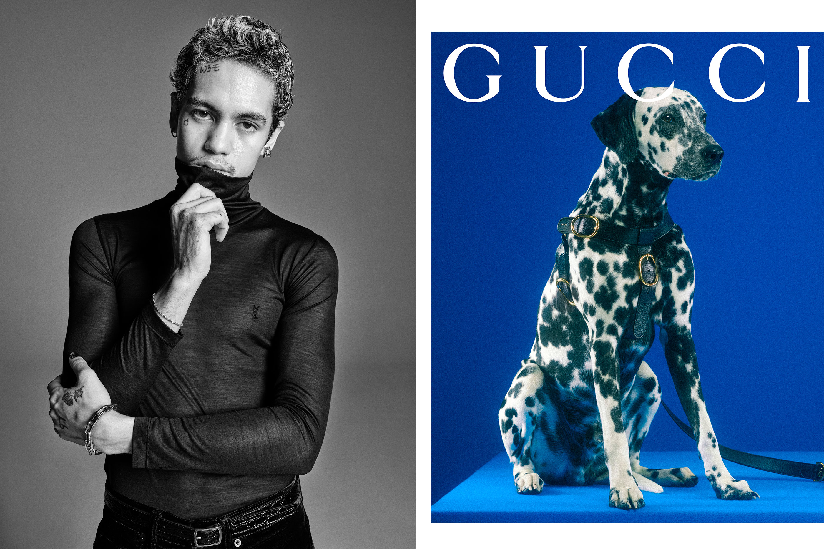 Gucci unveils surprising and delightful Gucci Pet Collection