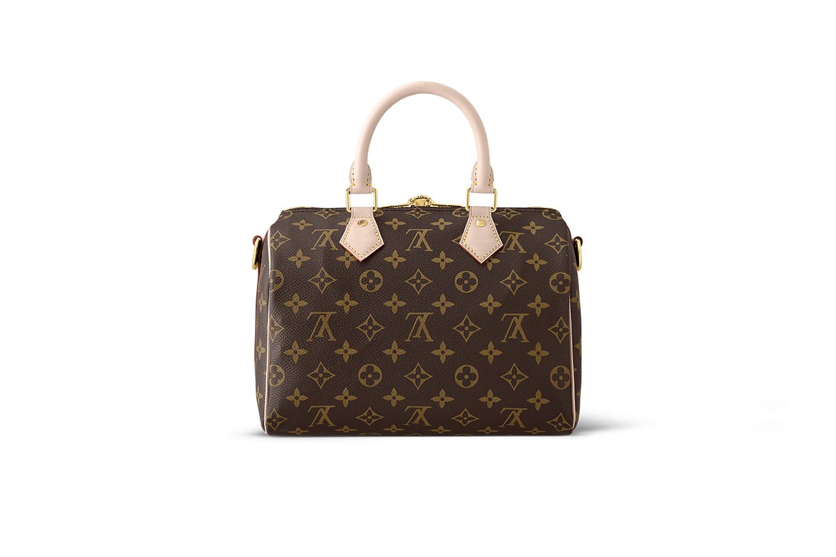 LV Designer Handbag, TheApparelBags in 2023