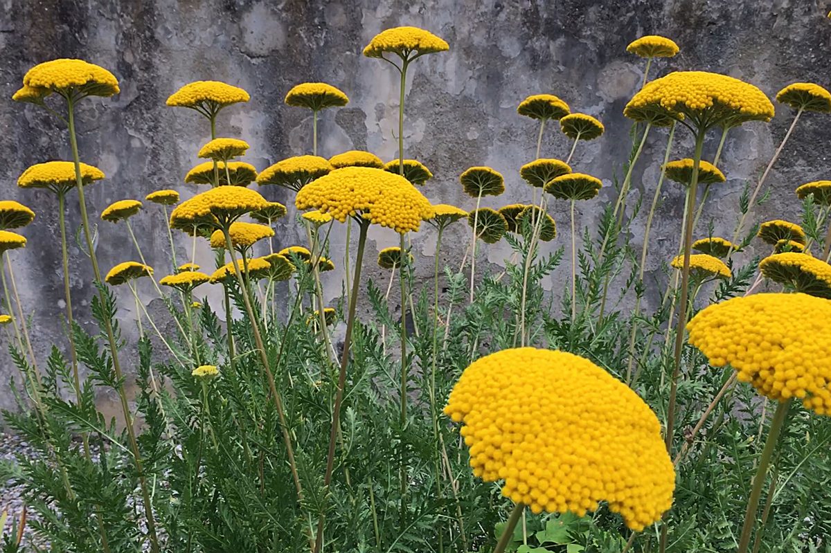 Helen Cammock, Courtesy of Collezione Maramotti